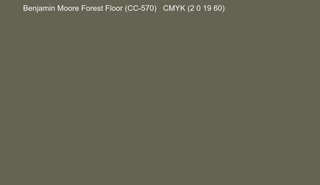 Color Benjamin Moore Forest Floor (CC-570) to CMYK (2 0 19 60) converter Color Benjamin Moore Forest Floor (CC-570) to CMYK (2 0 19 60) converter