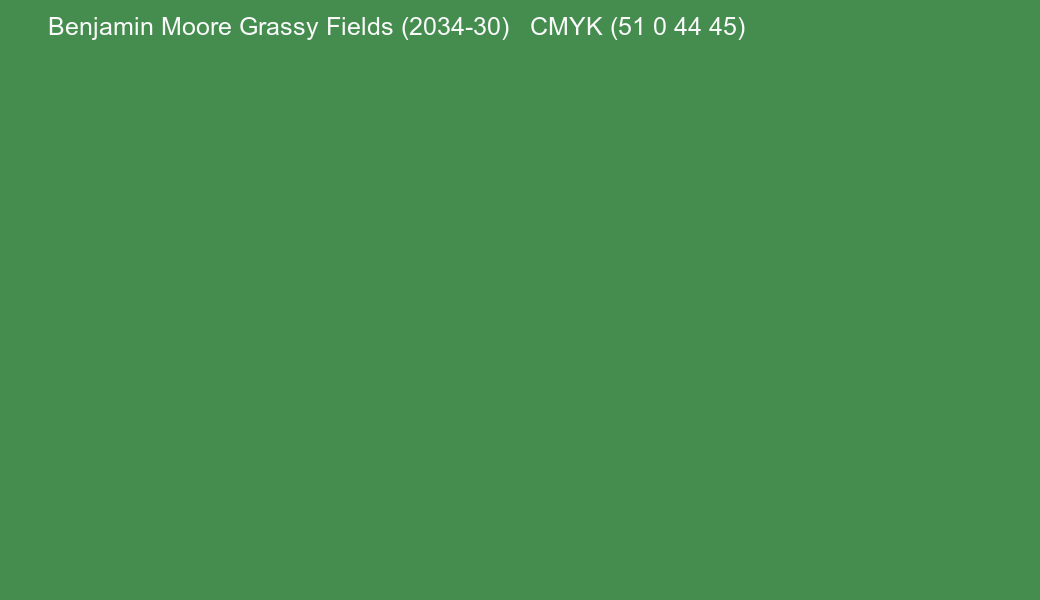 Color Benjamin Moore Grassy Fields (2034-30) to CMYK (51 0 44 45) converter Color Benjamin Moore Grassy Fields (2034-30) to CMYK (51 0 44 45) converter