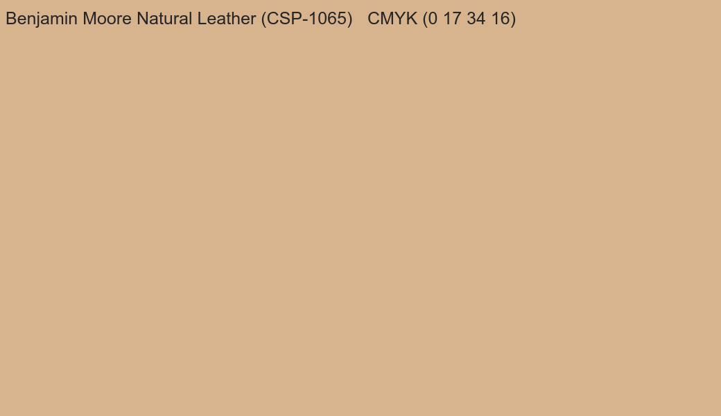 Color Benjamin Moore Natural Leather (CSP-1065) to CMYK (0 17 34 16) converter Color Benjamin Moore Natural Leather (CSP-1065) to CMYK (0 17 34 16) converter