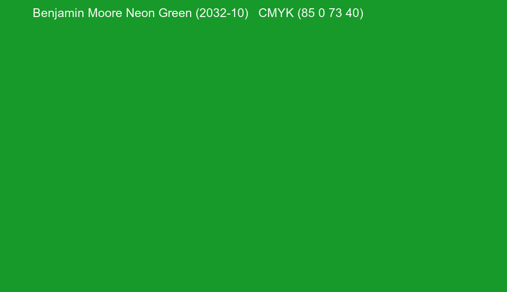 Color Benjamin Moore Neon Green (2032-10) to CMYK (85 0 73 40) converter Color Benjamin Moore Neon Green (2032-10) to CMYK (85 0 73 40) converter