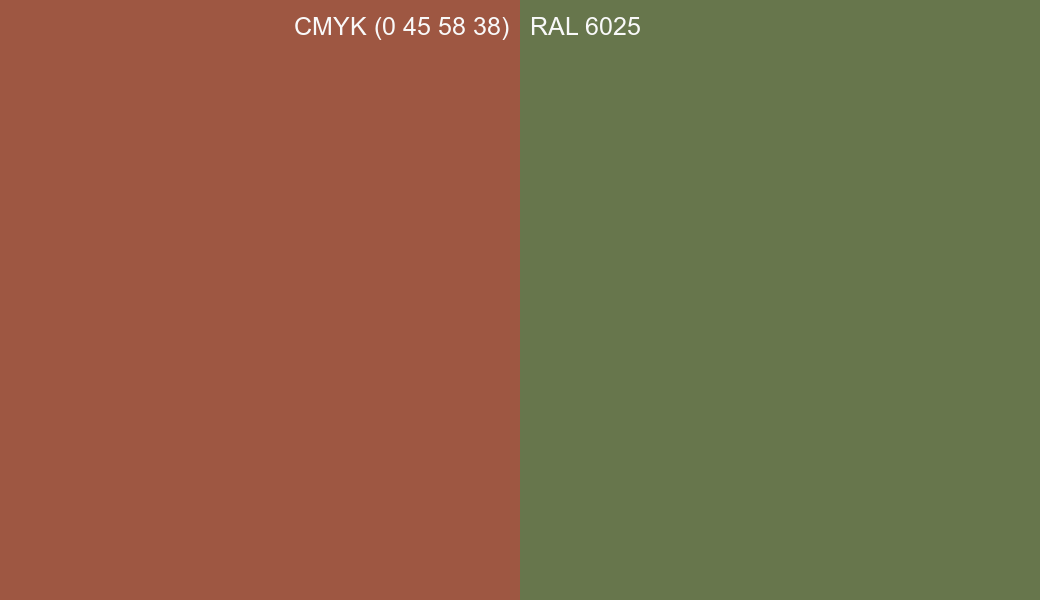 CMYK Color CMYK (0 45 58 38) vs RAL 6025 side by side comparison CMYK Color CMYK (0 45 58 38) vs RAL 6025 side by side comparison
