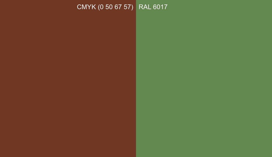 CMYK Color CMYK (0 50 67 57) vs RAL 6017 side by side comparison CMYK Color CMYK (0 50 67 57) vs RAL 6017 side by side comparison