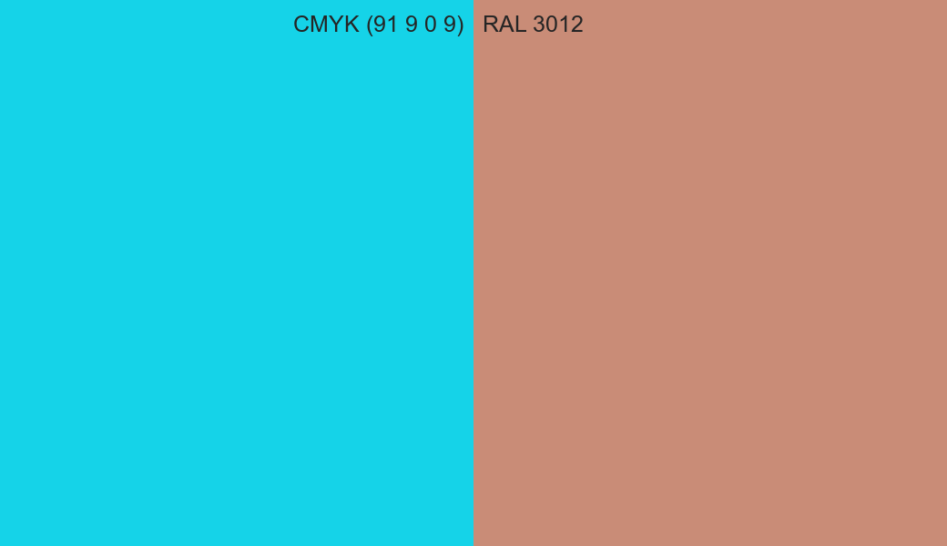 CMYK Color CMYK (91 9 0 9) vs RAL 3012 side by side comparison CMYK Color CMYK (91 9 0 9) vs RAL 3012 side by side comparison