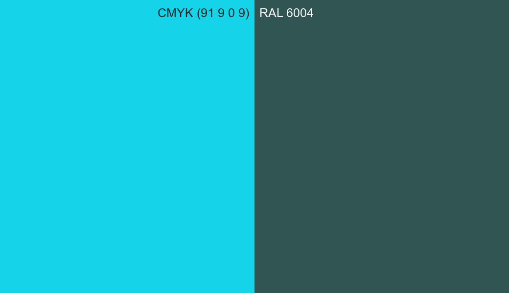 CMYK Color CMYK (91 9 0 9) vs RAL 6004 side by side comparison CMYK Color CMYK (91 9 0 9) vs RAL 6004 side by side comparison