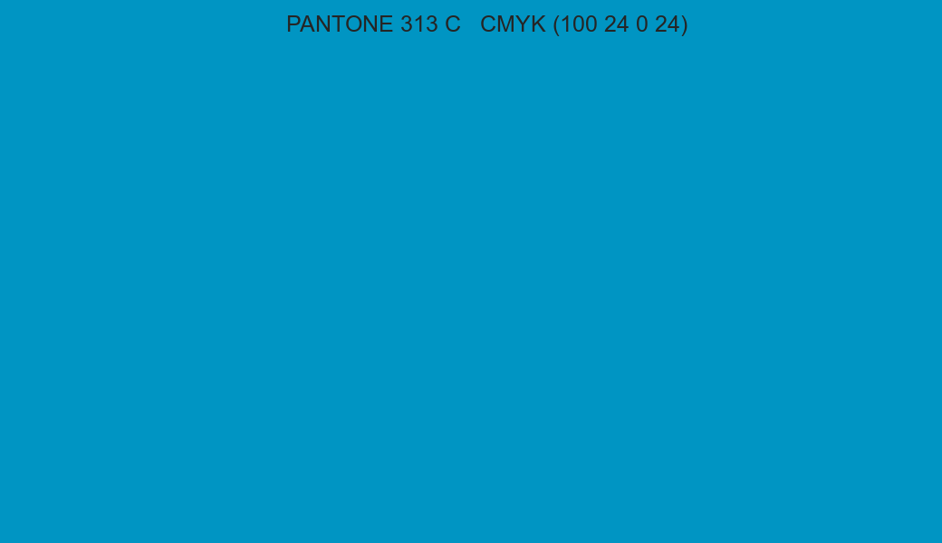 Color PANTONE 313 C to CMYK (100 24 0 24) converter