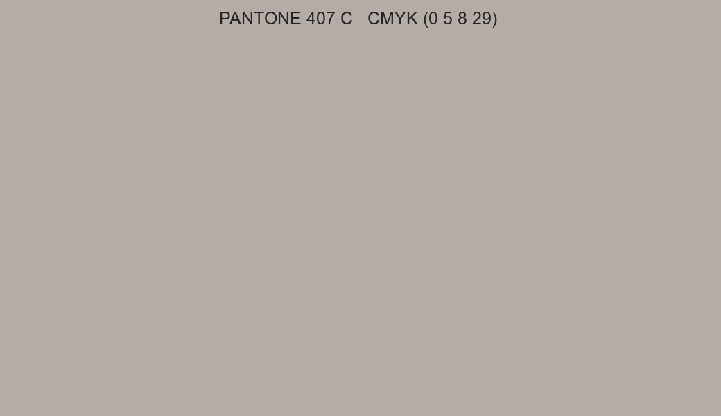 Color PANTONE 407 C to CMYK (0 5 8 29) converter