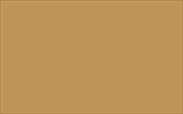 RAL 1024 Ockergelb colour swatch