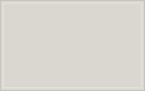 RAL 9002 Blanco grisáceo colour swatch