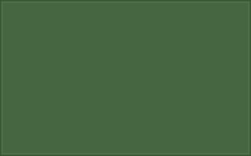 RAL 6002 Vert feuillage colour swatch