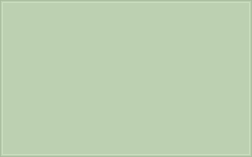 RAL 6019 Vert blanc colour swatch
