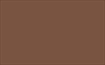 RAL 8007 Reebruin colour swatch