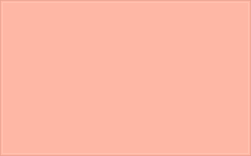 RAL 040 80 30 Nature apricot colour preview