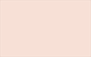 RAL 040 90 10 Delicate rose colour preview