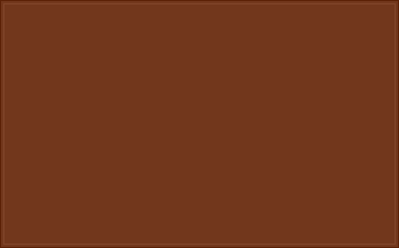 RAL 050 30 36 Rose wood brown colour preview