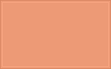 RAL 050 70 40 Light amber orange colour swatch