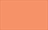 RAL 050 70 50 Melon red colour swatch