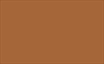 RAL 060 50 40 Camel brown colour preview