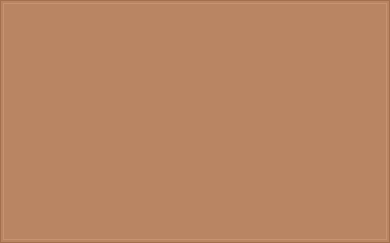 RAL 060 60 30 Cognac brown colour preview