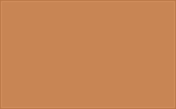 RAL 060 60 40 Maple syrup brown colour preview