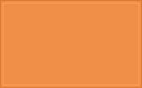 RAL 060 70 60 Melon orange colour swatch
