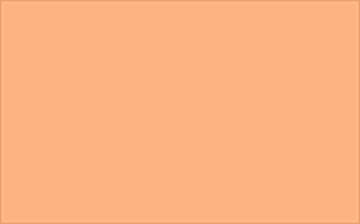 RAL 060 80 40 Apricot orange colour preview