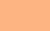 RAL 060 80 40 Apricot orange colour swatch