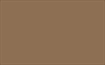 RAL 070 50 20 Ash gold colour preview