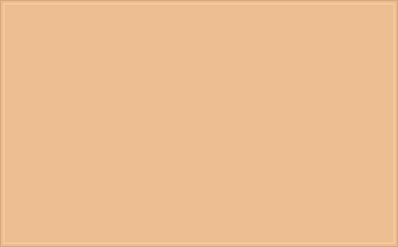 RAL 070 80 30 Golden oat coloured colour preview