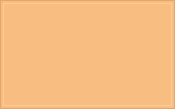 RAL 070 80 40 Apricot yellow colour swatch