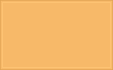 RAL 075 80 50 Orient yellow colour swatch