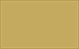 RAL 090 70 40 Hedgehog cactus yellow green colour swatch