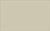 RAL 100 80 10 Pale beige colour swatch