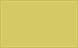 RAL 100 80 50 Light olive colour swatch
