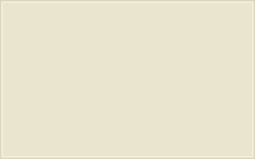 RAL 100 90 10 Elderberry white colour preview