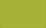 RAL 110 70 60 Lime green colour swatch
