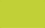 RAL 110 80 70 Juice green colour swatch