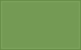 RAL 130 60 40 Grasshopper green colour swatch