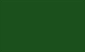 RAL 140 30 40 Ranger green colour preview