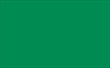 RAL 160 50 55 Iceland green colour preview