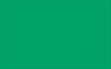 RAL 160 60 55 Emerald light green colour preview