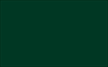 RAL 170 20 25 Off-road green colour preview