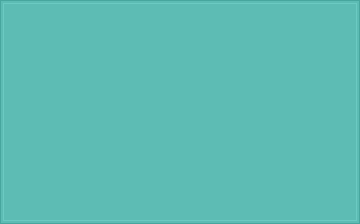 RAL 190 70 30 Hygiene green colour preview