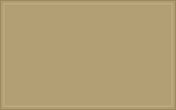RAL 780-M colour swatch