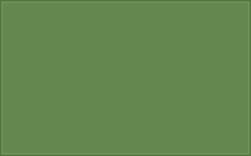 RAL 6017-P Maigrün colour swatch
