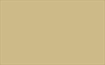 RAL 1000-P Beige vert colour swatch