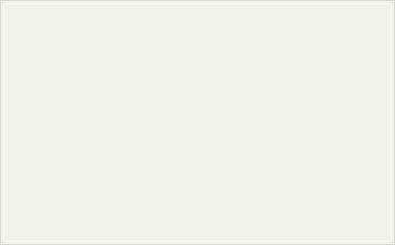 RAL 9016-P Blanc signalisation colour swatch