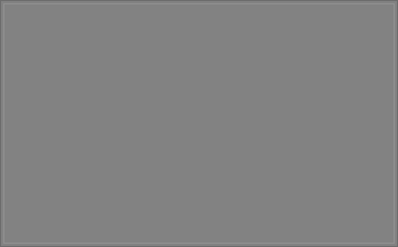 RAL 000 55 00-P-T colour preview